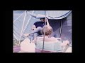 Woodstock 8mm film