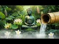 🍀Music to Relax the Mind + Yoga, Sleep + Music for Meditation, Relaxing Sleep Music♬