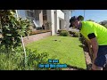 Home Turf Project Episode 3. Today we lay the most beautiful Turf I've ever seen!