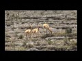 Ecuador a tu Alcance - Provincia de Chimborazo