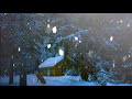 ❄️🐺🦉 Snow Falling Ambience with Howling Wolves, Hooting Owls & Cold Wind Sounds