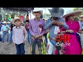 video completo 29 DE OCTUBRE 2023 jaripeo de salitrera SLP