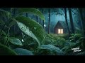 The Cabin in The Woods with Rain Sounds| Rainy ASMR, Insomnia Relief, Sleep-Inducing ASMR