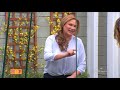 Grow Pumpkins From Seed to Harvest in Small Space/ Shirley Bovshow