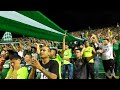 la hinchada del cali es una maravilla..