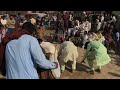 Punjabi Jhumar Dance Mukabla | dasi sweet 😛😛 jhumar 0306.6050600 |Punjabi Dance Video