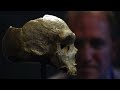 What were Humans doing 1,000,000 years ago?
