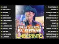 Mix De Puras Viejitas Pa' Pistear De Grupo Laberinto - Grupo Laberinto Sus Mejores Canciones 2024