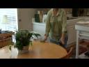 General Housekeeping : How to Clean a Kitchen Table