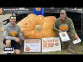 Record-breaking pumpkin grown in New York weighs 2,554 pounds