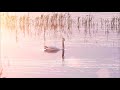 Meditation for Today | Peaceful music with nature scenes