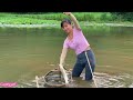 Fish trap girl catches fish fishing videos harvest a lot of the best and most attractive fish