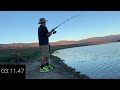 Catching a Carp Fish in 3mins Fastest Time! Lake Elsinore Carp Fishing