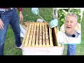 Beekeeping: TIPS On Giving Your Bees Water In Hot Weather