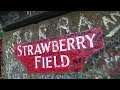 STRAWBERRY FIELDS