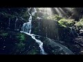 ⛰️✨Soothing Mountain Stream⛰️ 4 HOURS Forest & Waterfall Ambience