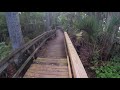 Exploring an abandoned boardwalk through Orlando's Lake Mills Park [4K]