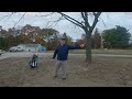 Golf Rules Tip: Ball Stuck in Tree - Attention!  Watch our 2023 Rules Video update after watching!