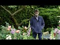 Nigel Slater takes us on an exclusive tour around his garden | Tips for a small space