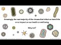 Virology Lectures 2023 #1: What is a virus?