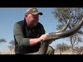 Hunting the fastest antelope and the iconic species of South Africa