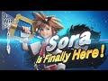 Internet Reacts to Sora in Smash