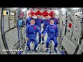 Chinese astronauts to raise zebrafish in space