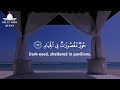 Best Relaxing Beautiful Recitation Of Surah Rahman by Omer Hisham Al Arabi