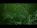 Mysterious Plankton - molekuel green
