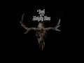 The Devil and the Almighty Blues - The Devil And The Almighty Blues (2015 - Full LP)