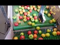 Satisfying Video Modern Food Technology Processing Machines That Are At Another Level#12|SN Machines