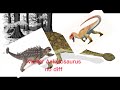 Ankylosaurus Solos your favorite carnivore lol