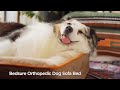 Discover The Best Orthopedic Dog Beds: Top 5 Picks for Your Dog's Comfort.