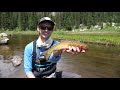 Catching a SUPER RARE TROUT?? (Threatened Species Pt 1)  || THE COLORADO SERIES
