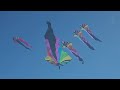 Solo Sunday kite fly
