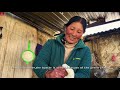 Most Original Rural Life in Tibet: I Ask Myself If I Could Live this Life or Not? (full documentary)