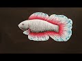 acrylic painting fish 🐠🐋🐟