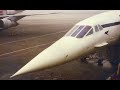 Concorde Mewing