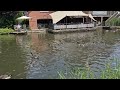 Feeding Geece at The Boathouse on the River Wey, Guildford, Surrey
