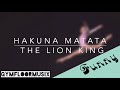 Hakuna Matata from The Lion King - Gymnastic Floor Music