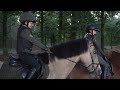 AFTER SCHOOL AUTUMN FOREST RIDE - Hacking with NO STIRRUPS!