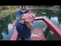 How To Catch Trout With Gulp Minnows
