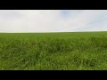 Exploring Beautiful Landscapes of Palouse Area, WA - 8K Slow Motion Scenic Drive (Left Side View)
