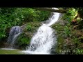 waterfall at the Oldest Rainforest | Powerful white noise for relaxation