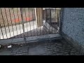 Glasgows hidden concrete maze