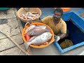 Wow !!! First day We Caught lot of CUTTLE FISH'S & Emperor Fish's in Deep sea fishing