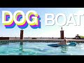 markipliers boat dog but the lyrics are reversed