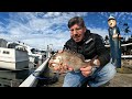 Land Based Fishing with Soft Plastics at Geelong Waterfront Melbourne