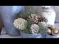 'On The Fly...DIY' White Pinecones