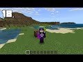 Minecraft 基岩版 與 JAVA版 友善生物有什麼差異?? 統整20個明顯的不同